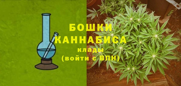 винт Богданович